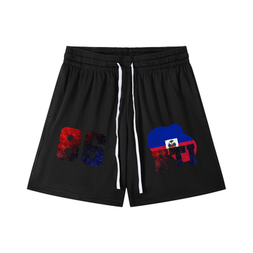Haiti Drawstring Mesh Shorts